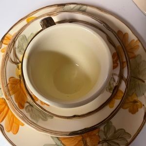 Franciscan "october" Pattern
by FRANCISCAN(5 piece 1 serving)